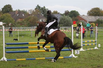 Bild 1445 - WBO-Turnier am 18.9.11